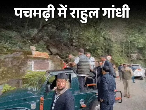 vote theft allegations