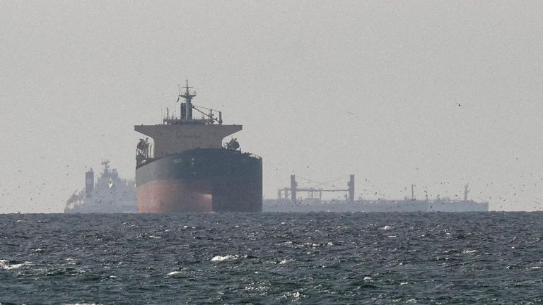 2 Indian, 1 Pakistani ships cross Strait of Hormuz