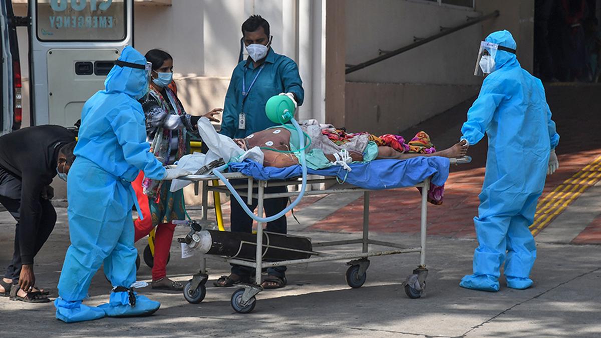 Long-awaited anti-COVID drug is also a milestone against future viruses