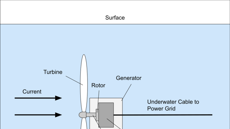 Science Quiz: Unusual sources of energy