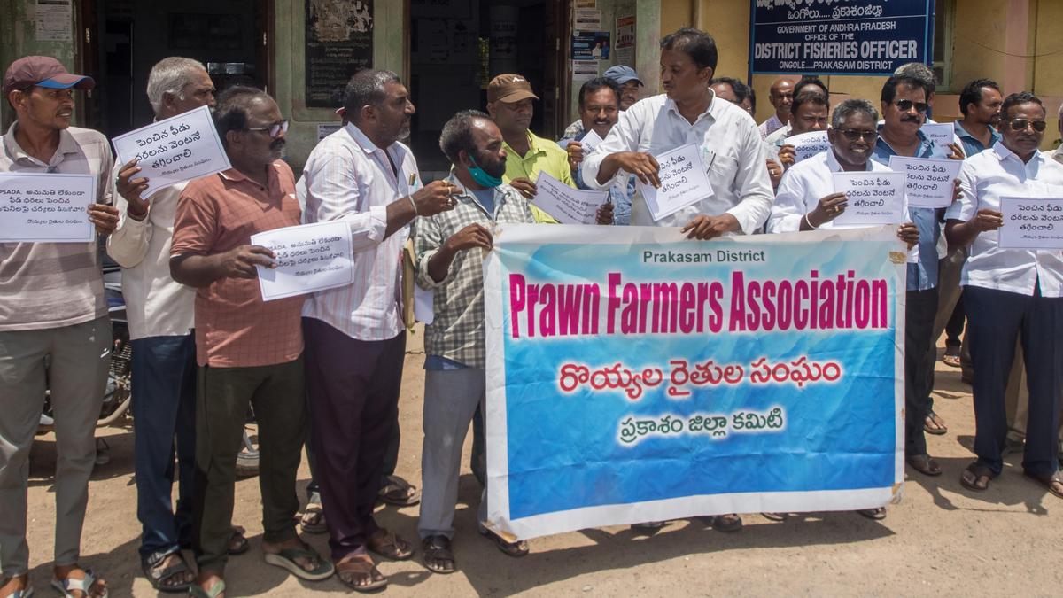 Andhra Pradesh aqua farmers oppose steep hike in shrimp feed prices