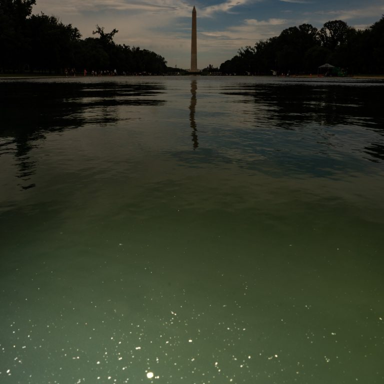E Pluribus Algae: Why Green Pond Scum Is as American as Red, White and Blue