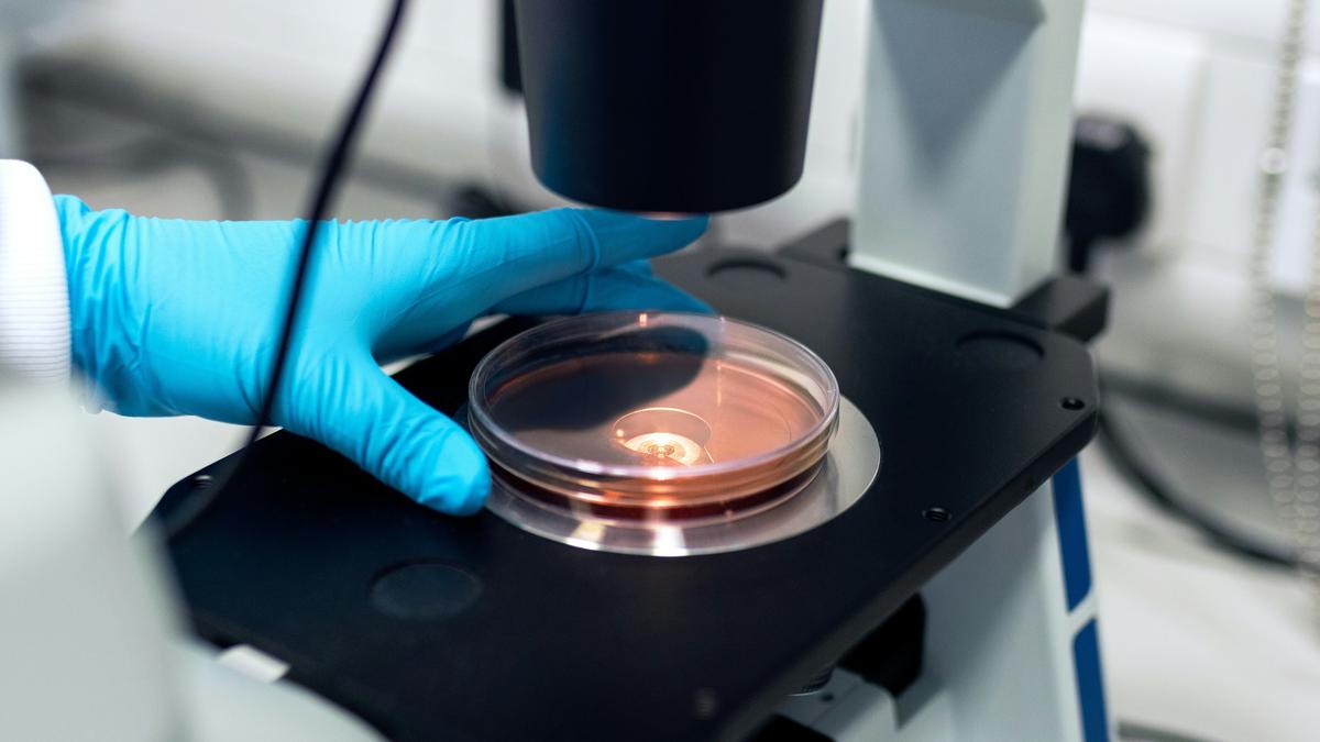 Science Snapshots: May 24, 2026